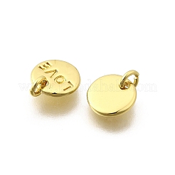 Breloques en laiton&nbsp;KK-I275-14G-01