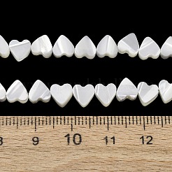 Natürliche Trochidschale / Trochusschalenperlenstränge&nbsp;SH-CBA2978-10