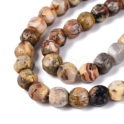 Fili di perline agata pazzesco naturale&nbsp;G-Q608-08A-05
