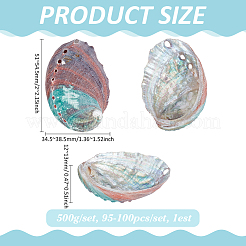 500 g natürliche Muschelperlen&nbsp;SSHEL-PH0001-38