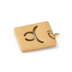 Anhänger aus 304 Edelstahl&nbsp;LS-STAS-R001-03G-02