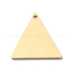 Pendentifs en acier inoxydable 304 avec placage ionique (IP)&nbsp;STAS-F271-08C-G
