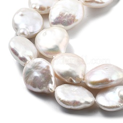 Perles de perles de keshi baroques naturelles&nbsp;PEAR-B004-16F-02A-01