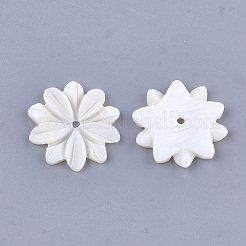 Perle di conchiglia d'acqua dolce intagliate&nbsp;SHEL-T012-52