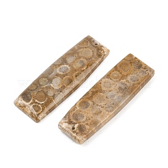 Natürliche fossile Korallenanhänger&nbsp;G-B187-01C-08