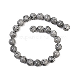 Natürliche Karte Steinperlen Stränge&nbsp;G-L648-A05-16mm