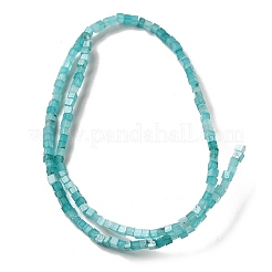 Fili di perline amazonite naturale&nbsp;G-B064-A05