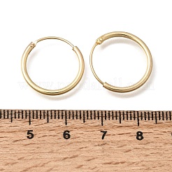 Orecchini a cerchio in ottone&nbsp;EJEW-G474-01G-02