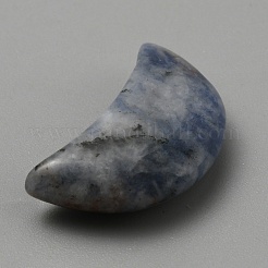 Natürliche blaue Punktjaspis-Mondpalmensteine&nbsp;G-WH0035-07E