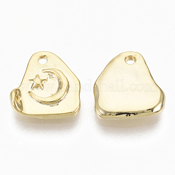 Charms in lega&nbsp;PALLOY-S135-022-NR