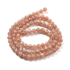Natürliche sunstone Perlen Stränge&nbsp;G-H080-B01-01