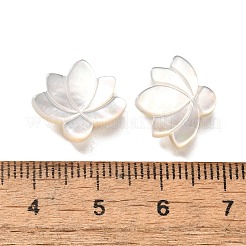 Natürlichen weißen Muschelperlen&nbsp;BSHE-Z008-09