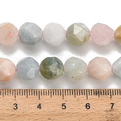 Naturperlen Stränge morganite&nbsp;G-H329-E03-10mm-01