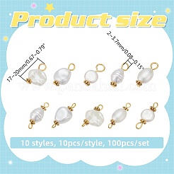 100 pcs 10 styles pendentifs en plastique ABS imitation perle et kits de breloques de connecteur&nbsp;PALLOY-WR00021
