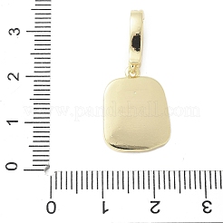 Pendentifs d'émail en laiton &nbsp;LS-KK-F886-01G-03
