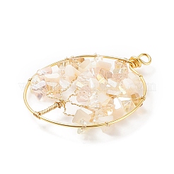 Pendentifs en verre plaquent&nbsp;PALLOY-JF01546-05