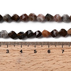 Natürliche versteinerte Holzperlen Stränge&nbsp;G-Z119-A21-01
