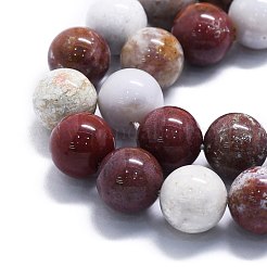 Natur Ozean Jaspis Perlen Stränge&nbsp;G-P457-C05-06