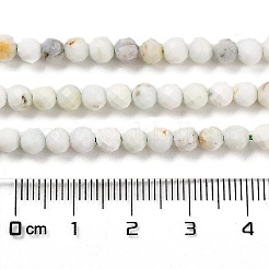 Chapelets de perles en opale vert naturel&nbsp;G-Z035-A02-03D