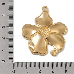 Pendentifs en acier inoxydable 304 émaillés&nbsp;SA-CBAFCBF-06G-03