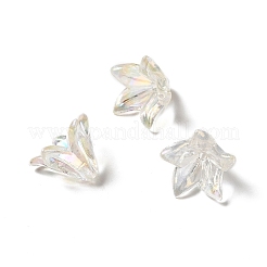 Transparentes bouchons acrylique de perles&nbsp;OACR-H016-05