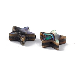 Natürliche Abalone-Muschel / Paua-Muschelperlen&nbsp;SSHEL-M021-01