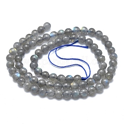 Natur Labradorit Perlen Stränge&nbsp;G-O186-E01-4mm