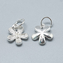 925 Sterling Silber Charme&nbsp;STER-T002-63S
