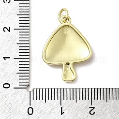 Messing Emaille-Anhänger&nbsp;KK-P338-12G-02