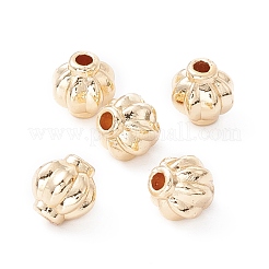Cremagliera branelli della lega di placcatura&nbsp;FIND-WH0118-05C-G