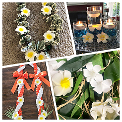 30 Stück 3 Stile Schaumstoff künstliche Frangipani-Blüte Alligator Haarspangen&nbsp;PHAR-SP0001-23A