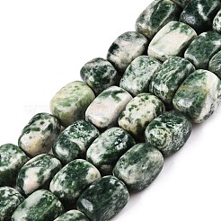 Natürliche grüne Fleck Jaspis Perlen Stränge&nbsp;G-T138-96