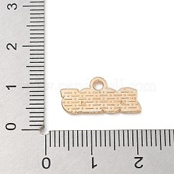 Pendentifs d'émail en alliage&nbsp;ENAM-A008-13KCG-08