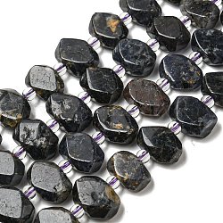 Perles naturelles Iolite brins, avec des perles de rocaille, rectangle facettes, 10~11.5x14.5~16x6~7mm, Trou: 1.2mm, Environ 27 pcs/chapelet, 15.20 pouce (38.6 cm)