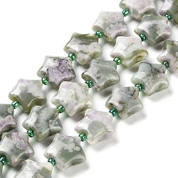 Natürliche Frieden Jade Perlen Stränge, mit Glasperlen, Stern, 14~15.5x15~16x6.5~7 mm, Bohrung: 1 mm, ca. 24~25 Stk. / Strang, 15.55''~15.95'' (39.5~40.5 cm)
