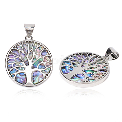 Resin Imitation Paua Shell/Abalone Shell Pendants, with Alloy Findings, Flat Round with Tree of Life, Platinum, 37.5x33.5x3mm, Hole: 6x8.5mm