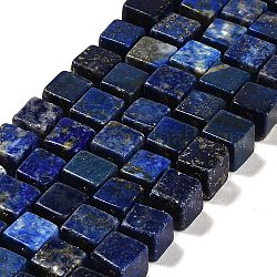 Abalorios de lapislázuli naturales hebras, cubo, grado ab, 8~9x8~9x8~9mm, agujero: 1.2 mm, aproximamente 38~39 pcs / cadena, 15.08~15.35 pulgada (38.3~39 cm)