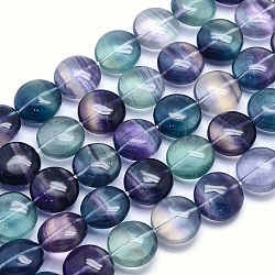 Natural Fluorite Beads Strands, Flat Round, 14x8mm, Hole: 1mm, about 28pcs/strand, 15.5 inch(39.5cm)