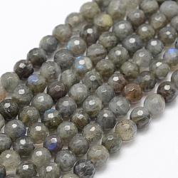 Chapelets de perles en labradorite naturelle , Grade A +, facette, ronde, 6mm, Trou: 1mm, Environ 66 pcs/chapelet, 15.1 pouce (38.5 cm)