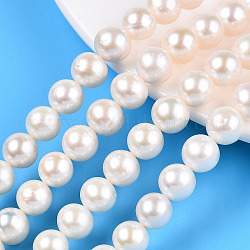 Fili di perle di perle d'acqua dolce coltivate naturali, tondo, bianco crema, 8.5~10.5mm, Foro: 0.6 mm, circa 42~43pcs/filo, 15.55~16.14 pollice (39.5~41 cm)
