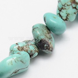 Brins de perles de magnésite naturelle, teints et chauffée, puces, 6~12x6~18x4~8mm, Trou: 1mm, Environ 45 pcs/chapelet, 15.75 pouce (40 cm)