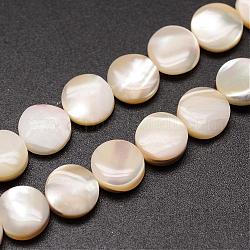 Chapelets de perles de coquille de trochid / trochus coquille, plat rond, amande blanchie, 8x3~3.5mm, Trou: 1mm, Environ 51 pcs/chapelet, 15.75 pouce