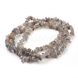 Natural Labradorite Beads Strands, Chip, 4~18x3~10mm, Hole: 0.5mm, 33.9 inch(86cm)
