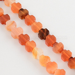 Dyed Natural Red Agate Stone Beads Strands, Greek Cross, Orange Red, 8x8x4mm, Hole: 1mm, about 50pcs/strand, 16.9inch