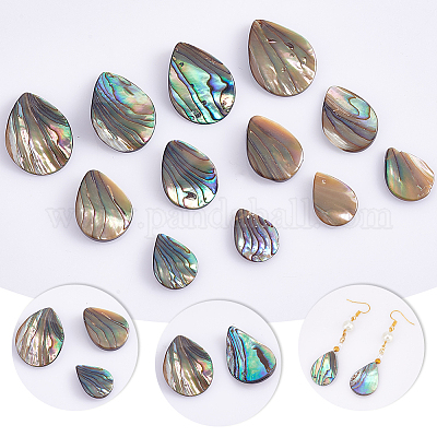 SUNNYCLUE 1 Scatola 20 Pezzi Conchiglia Di Abalone Naturale