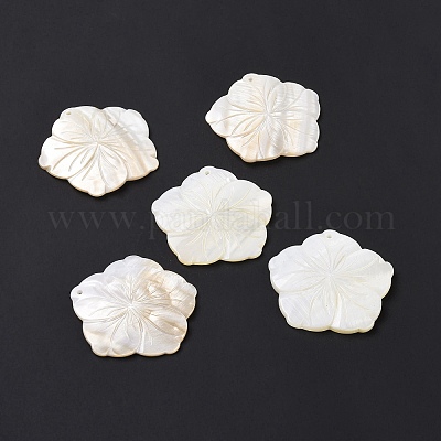 Pendentifs de coquillages d'eau douce naturelle&nbsp;SHEL-H001-04-1