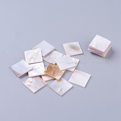 Shell Cabochons&nbsp;SSHEL-WH0001-12-1
