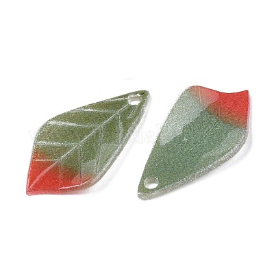 Ciondoli di plastica&nbsp;KY-N015-041B-1