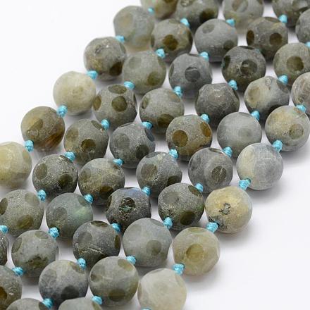 Natural Labradorite Beads Strands G-P322-35-12mm-1