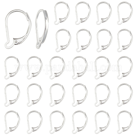 Sunnyclue 1 boîte 30 pièces boucles d'oreilles à levier accessoires levier français boucle d'oreille crochets fil accessoires de boucle d'oreille pour la fabrication de bijoux boucle d'oreille bricolage faire KK-SC0002-29S-1